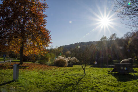 Herbstliche Kurpark Bad Blumau