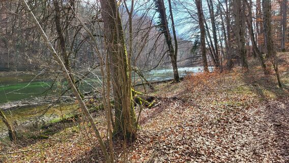 Foto de johannjosef a lo largo del recorrido