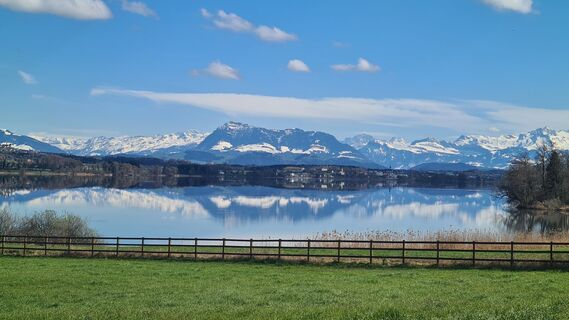 Fotografija s spletne strani Margot Waldmeier na poti