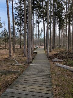 Photo de Hell-mood le long du parcours