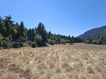 Zdjęcie z hawiwandern wzdłuż trasy