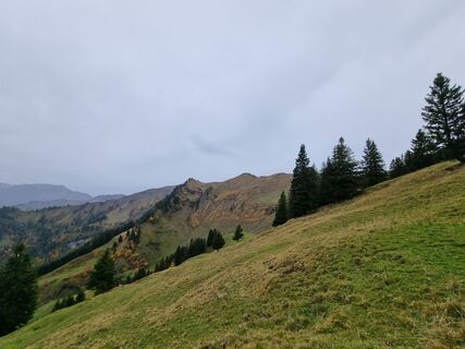 Foto von Seppy96 entlang der Tour