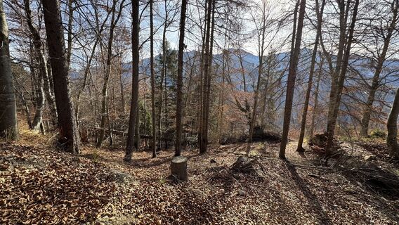 Fotografia z peter_oe na trase