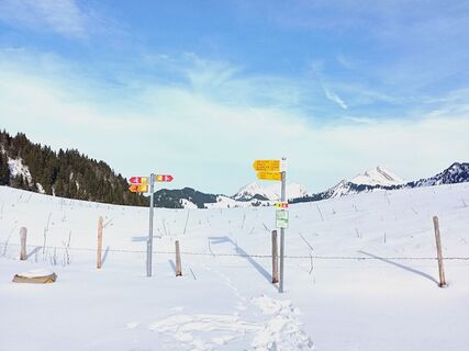 Foto von mtmc entlang der Tour