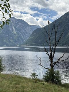 Photo de Barbara Dolivier le long du parcours