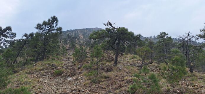 Fotografija s spletne strani uto na poti