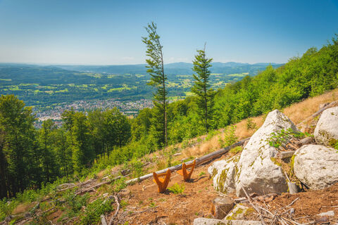 Hotzenpfad Pirschweg