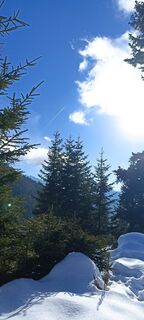 Photo de Sándor Vajda le long du parcours