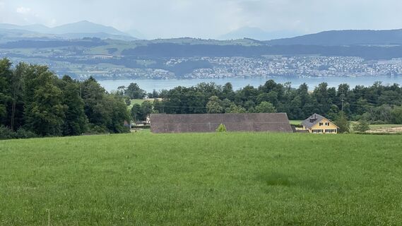 Foto från Peter Burki under resans gång