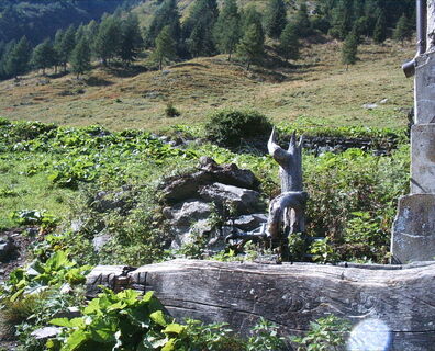 Bilder von der Frondell-Alm