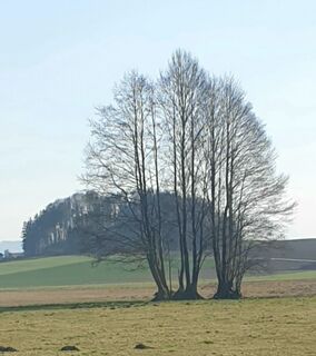 Foto von Ingeborg Maislinger entlang der Tour