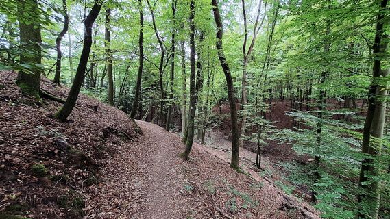 Foto von Libor Matas entlang der Tour