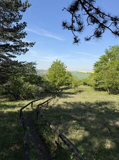 Photo de Ulf-Peter Schilling le long du parcours