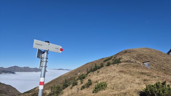 Photo de Nicole Hesse le long du parcours