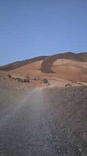 Foto von Martina Oitzinger entlang der Tour