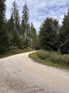 Foto von Heinz Sperl entlang der Tour