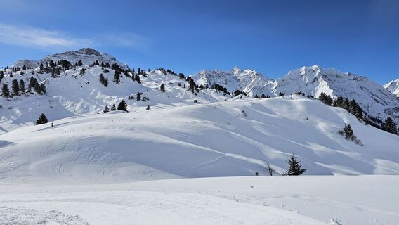 Foto de Sophiehedo a lo largo del recorrido