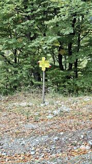 Photo de Sase Dinev le long du parcours