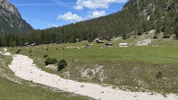 Foto von Peter Hunziker entlang der Tour