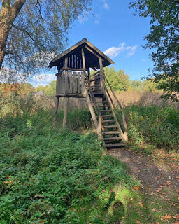 Wandern-Ahlhorner-Fischteiche-Aussichtsturm.jpg