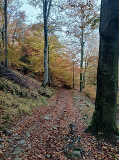 Foto von Daniel Kremiec entlang der Tour