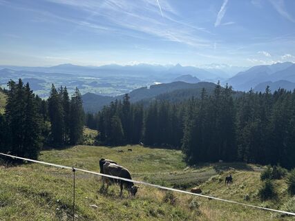Photo de Gero Denniger le long du parcours