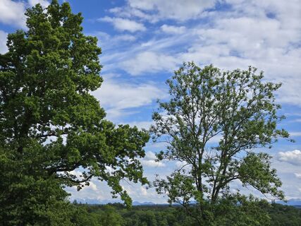 Fotografie z Sonnabrain na trase