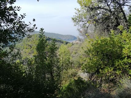 Foto da Eifeleddy lungo il tour