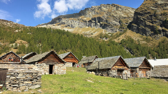 Alpe Magnello