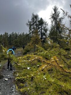 Foto de Falk Drechsel a lo largo del recorrido