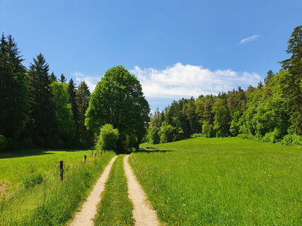 Eingang ins Görgltal