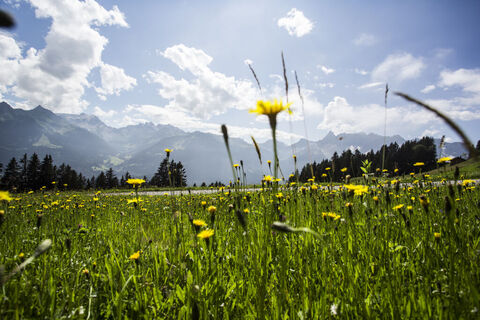 Blick von Bartholomäberg