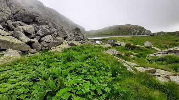 Foto von Aga M entlang der Tour