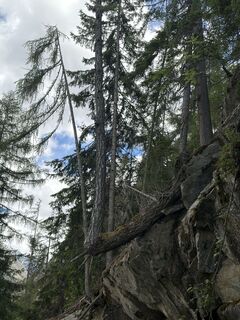 Foto von Aurelian Böhler entlang der Tour