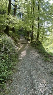 Zdjęcie z Peter Burki wzdłuż trasy