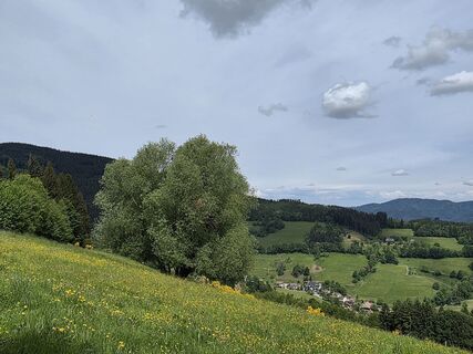 Fotografie z Noreen (NoKe) na trase