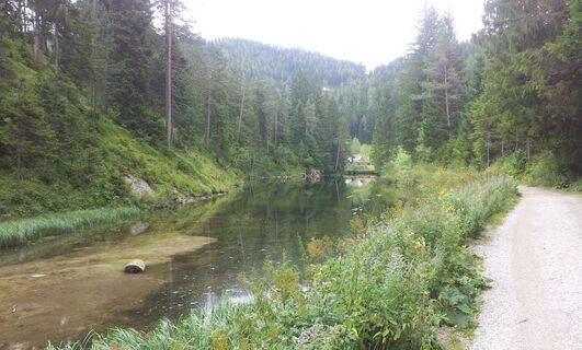 Weg vom Hubertusse zum Fadental