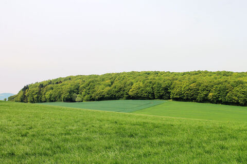 Wandern bei Benkhausen