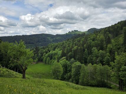 Photo de Noreen (NoKe) le long du parcours