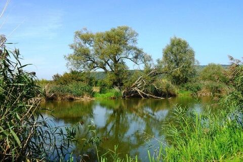Weiher am Saaraltarm