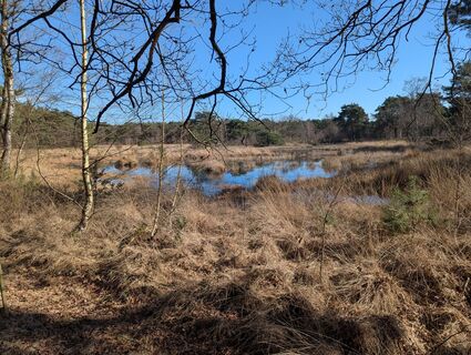 Photo de Matje Derks le long du parcours
