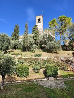 Fotografija s spletne strani Sergio Tettamanti na poti