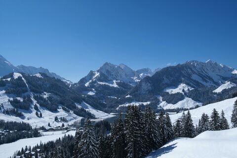 Aussicht auf Alpen - Schwyberg Trail