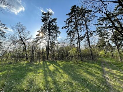Fotó a Levente Tóth 1 honlapról a túra során