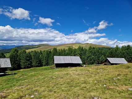 Fotografia z Anke H. na trase