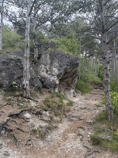 Foto von Uwe Stolze entlang der Tour