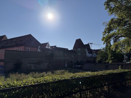 Foto de Schaali a lo largo del recorrido