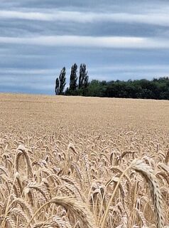 Fotografia z Mimi na trase