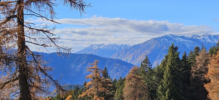Fotografija s spletne strani Roswitha Polz na poti