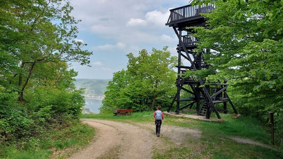 Turm am Siebenburgenblick